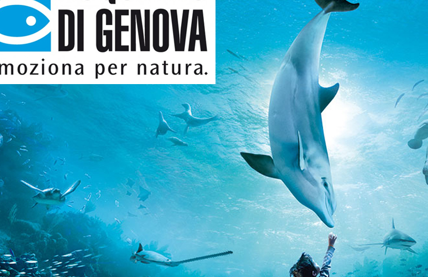 Acquario di Genova, è morto il delfino Naù