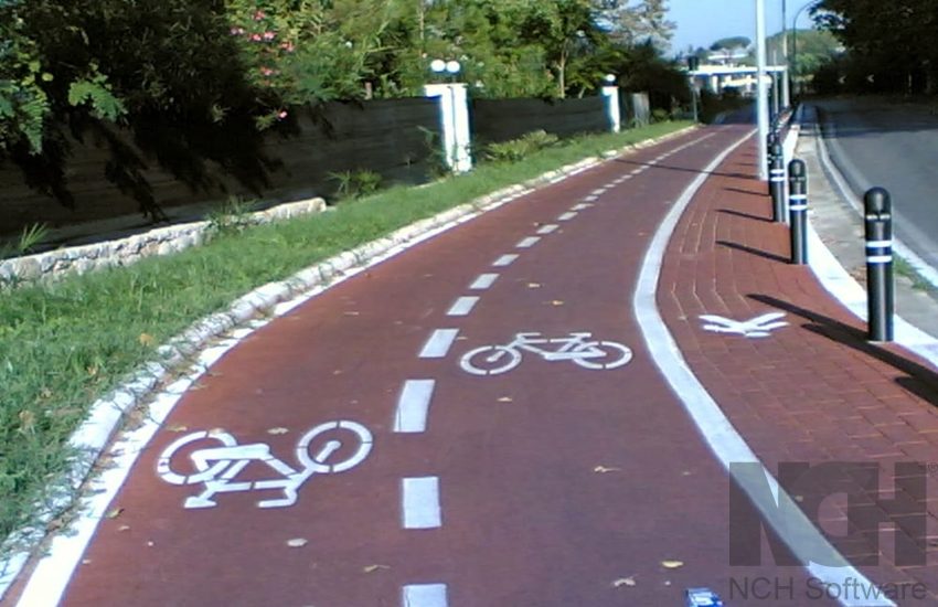 Caltanissetta, denuncia degli ambientalisti: a rischio più di 100 alberi per pista ciclabile