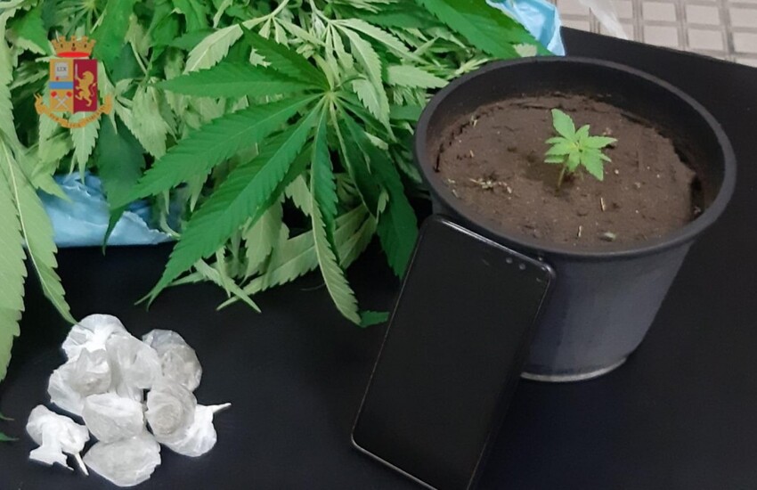 Coltivava marijuana in un giardino a Castel Volturno, arrestato ai Quartieri Spagnoli