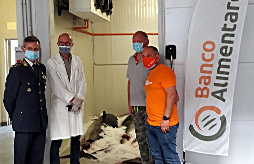 Le Fiamme Gialle di Catania sequestrano 1.500 kg. di tonno rosso a Ognina