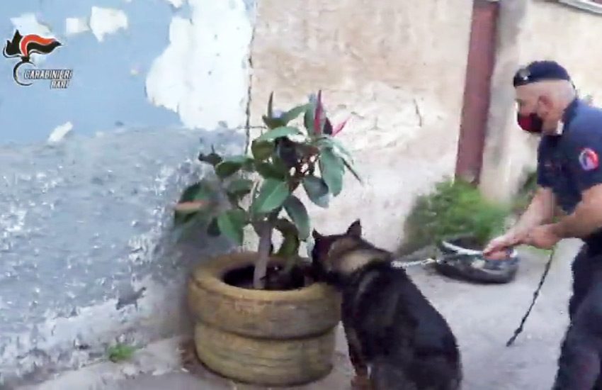 Lotta tra clan per il controllo dello spaccio, 10 arresti