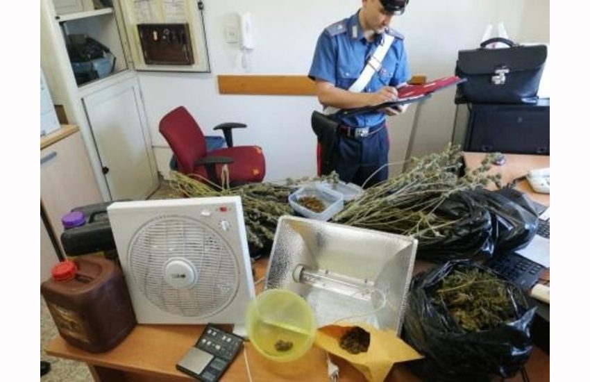Coltivava marijuana in casa, arrestato ad Aprilia