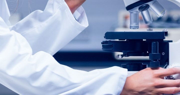 bollettino coronavirus