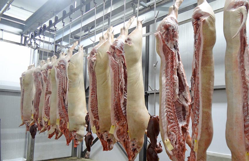 Asl: azienda macellazione carni covid free, ora è “oggetto di interesse scientifico”
