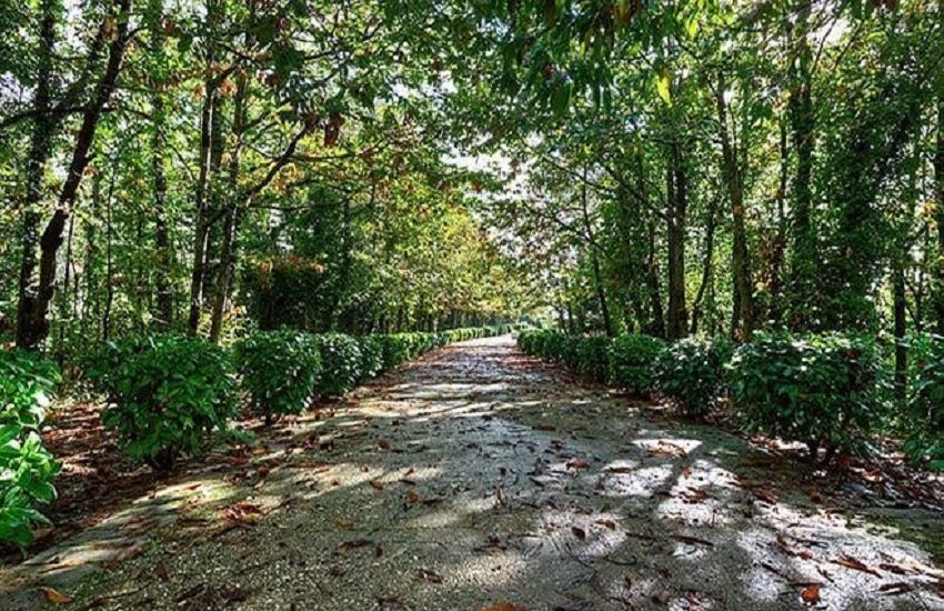 Napoli, Di Palma: da Regione e Comune sforzo congiunto per recuperare il Parco dei Camaldoli