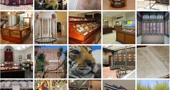 pillole di museo unict