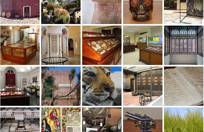 “Pillole di Museo”, tour virtuali alla scoperta del patrimonio museale di Unict