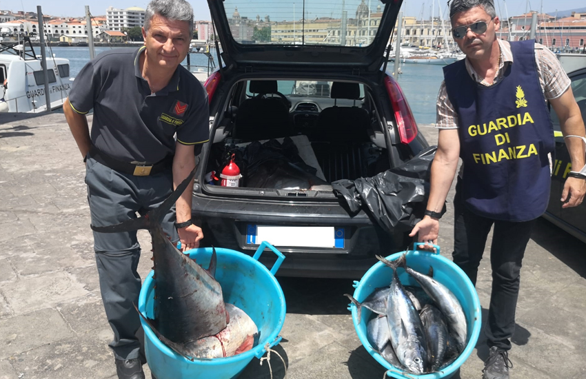 Ognina e Maas, la Guardia di Finanza sequestra 400 kg di tonno rosso