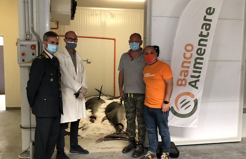 Banco Alimentare, distribuito tonno rosso sequestrato dalla Gdf a sette mense solidali