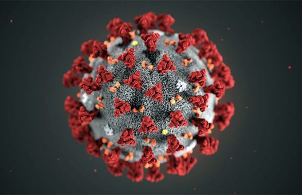 Potenziale vaccino contro il Covid-19 sviluppato dal Cnr