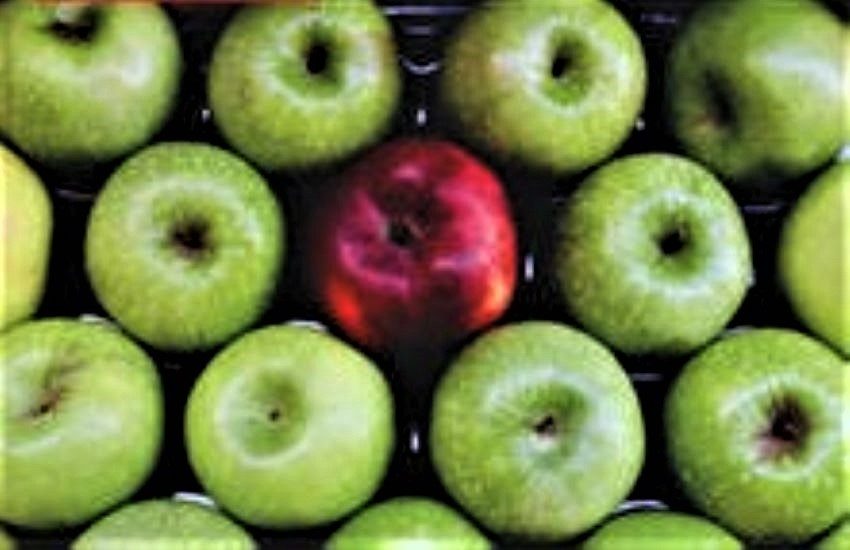 Sicilia Mater, oggi il primo evento live a Pace del Mela