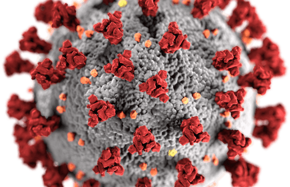 casi covid in aumento