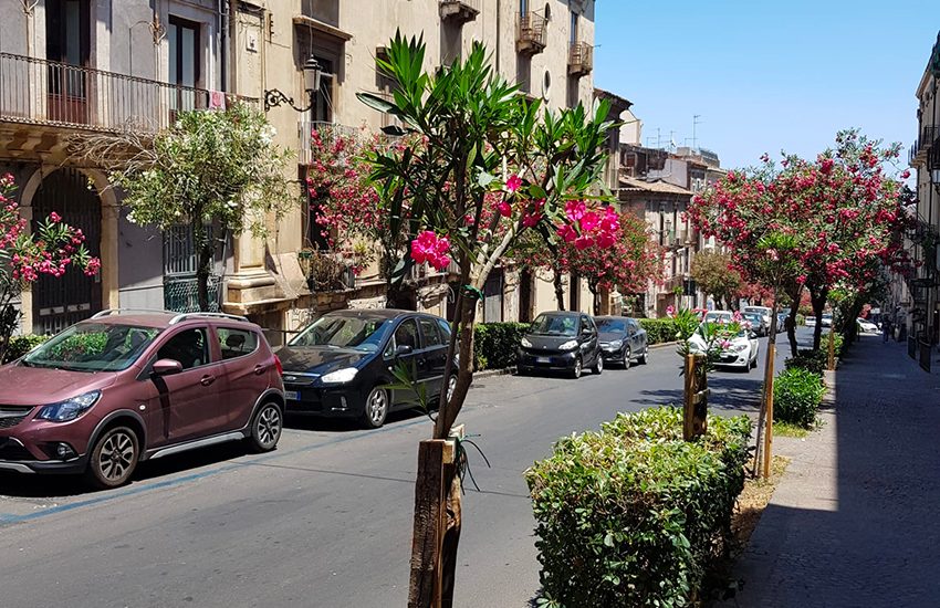 Verde a Catania, nuove piantumazioni di alberi in viale Regina Margherita e via Sangiuliano