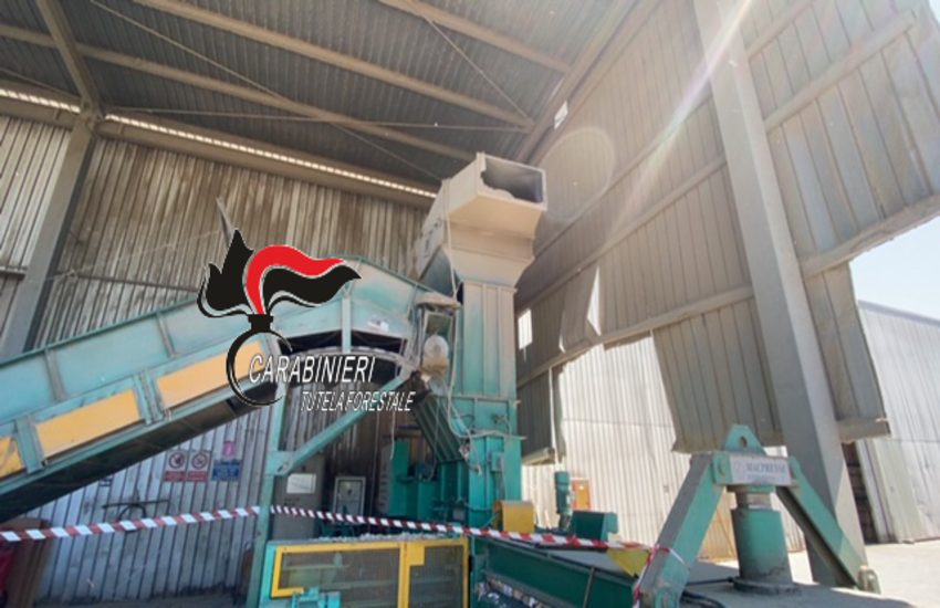 Inquinamento ambientale e servizio anti roghi. Controlli e sequestri dei Carabinieri forestali