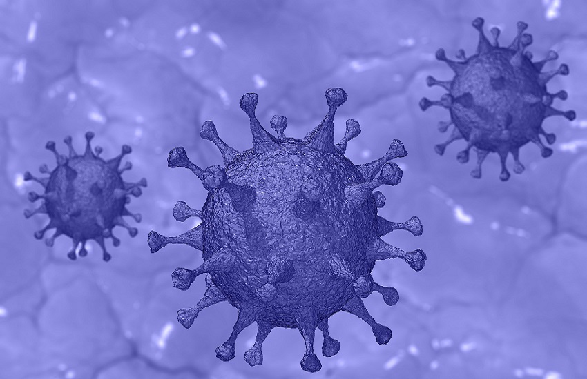 Coronavirus: spunta un gene chiave utilizzato dagli anticorpi umani