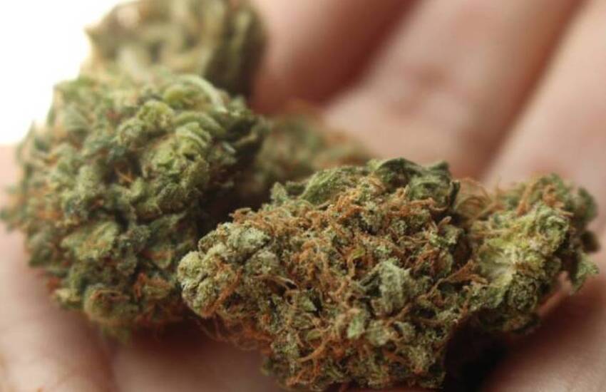 Catania, in scooter in via Orto dei Limoni con marijuana al seguito: arrestato 31enne