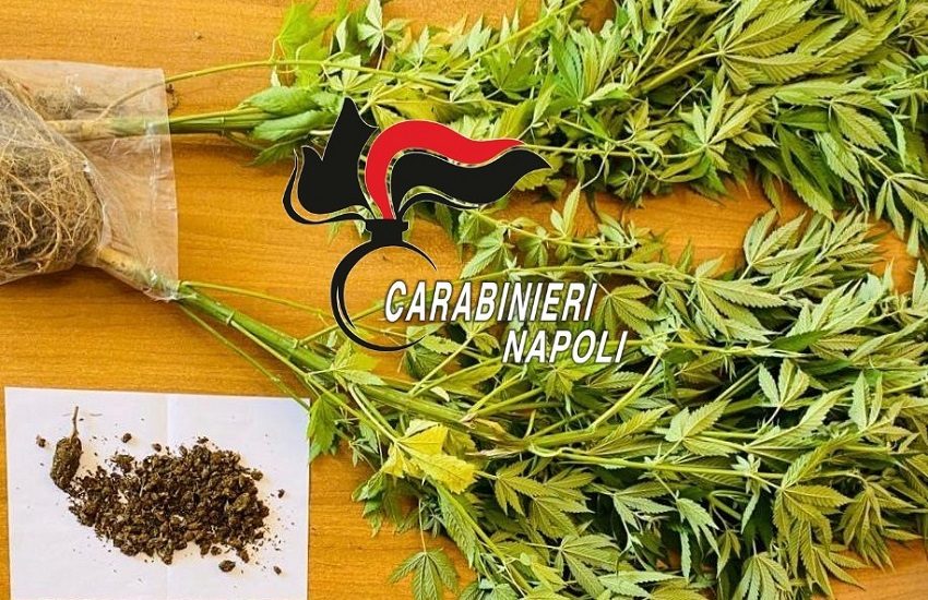 Ischia – Aumentano i flussi turistici, in azione i carabinieri di Forio e di Procida: sanzioni e denunce