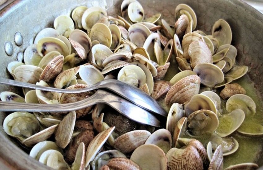 Vongole, aiuti ai comparti marittimi di Venezia e Chioggia