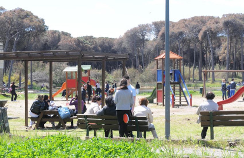 Boschetto della Playa, online le domande per il prelievo gratuito del legname da potature