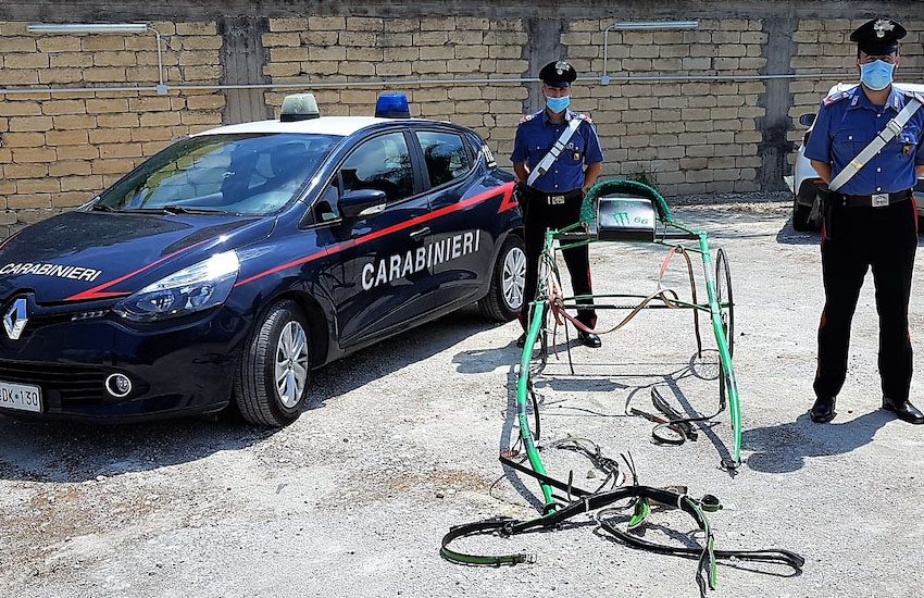 Palagonia, i carabinieri interrompono una corsa clandestina di cavalli: denunciati 16 catanesi
