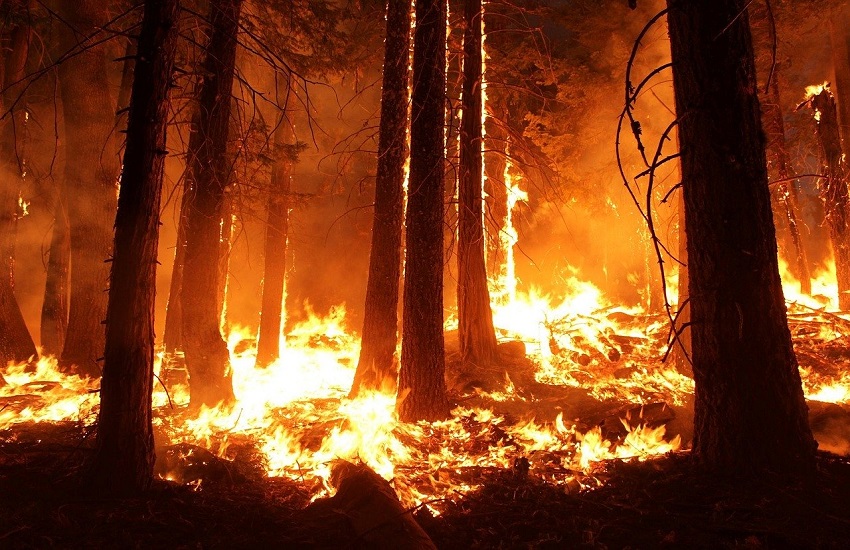Antincendio boschivo: firmata ieri la convenzione