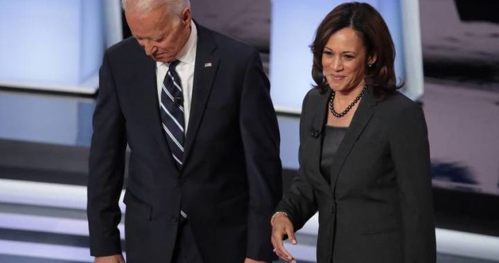 Biden Kamala Harris presidenziali Usa Trump