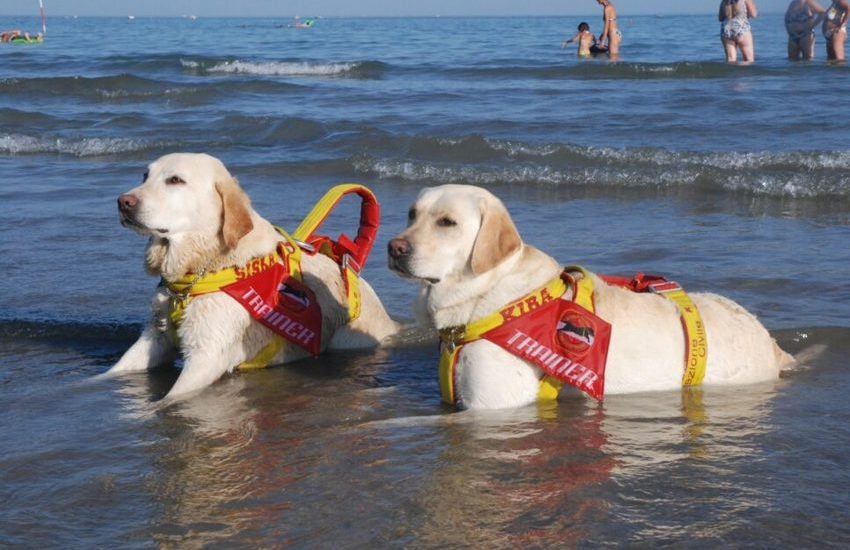 Voltri, tornano i cani bagnini del Sics anche quest’anno  per presidiare la spiaggia libera