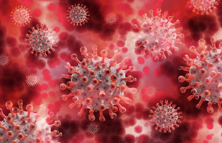 Coronavirus, altri due casi accertati a Piombino