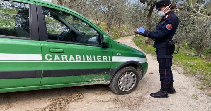 camion perde rifiuti