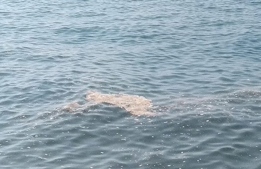 Sub disperso in mare, ancora nessuna traccia e notizia del 71enne