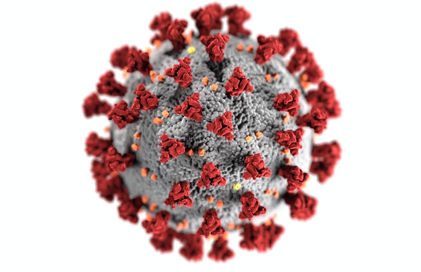 Coronavirus, sono 9 i nuovi casi registrati oggi in provincia di Latina