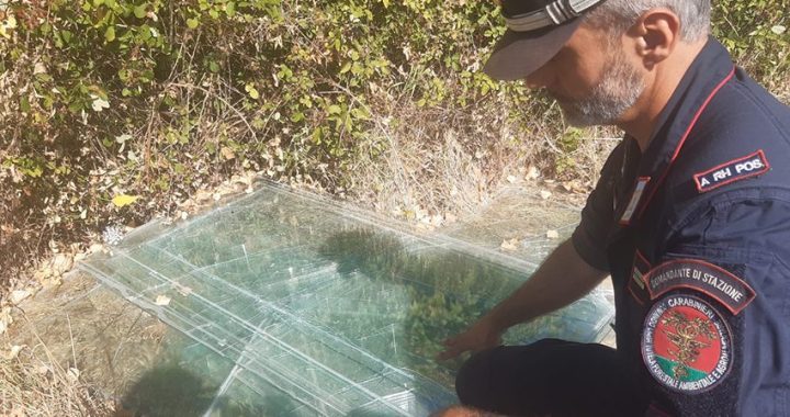 imprenditore denunciati