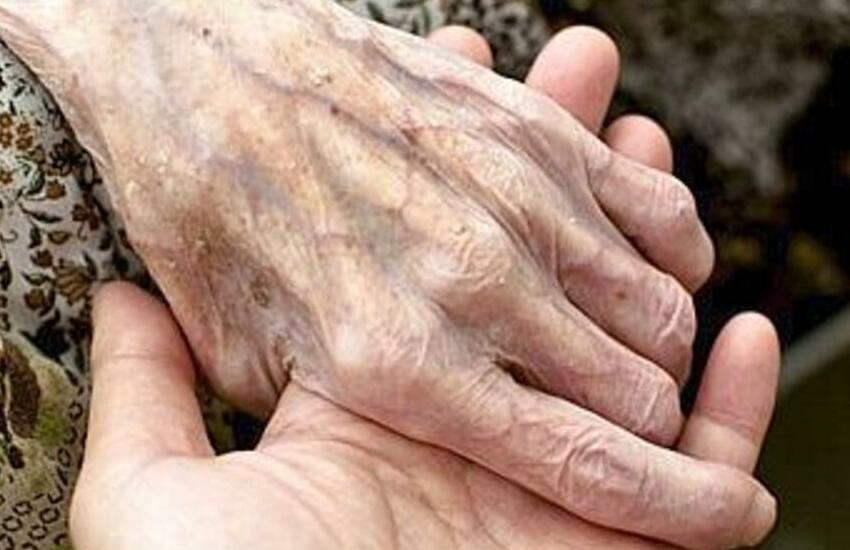 L’anziana nobildonna si innamora del toy boy e gli lascia tutto il patrimonio, si scatena l’ira dei familiari