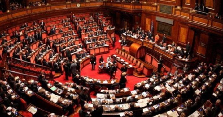 senato doppia preferenza