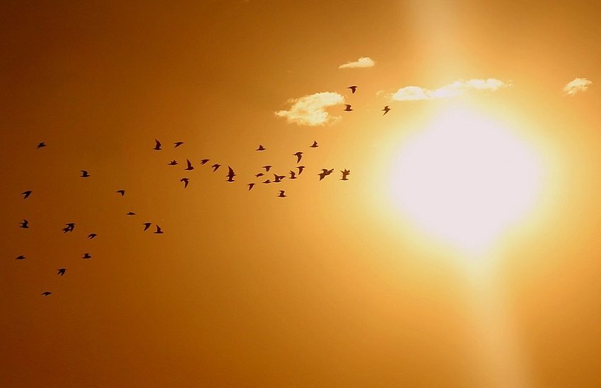 Meteo L’Aquila: giornata in prevalenza soleggiata, salvo presenza di nubi sparse al mattino