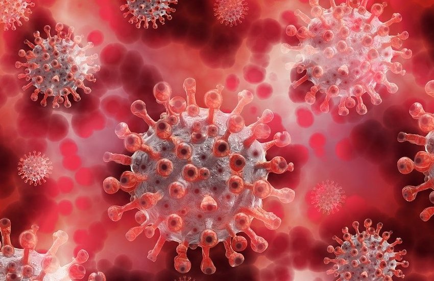 Coronavirus in Abruzzo, 24 novembre: 256 nuovi casi
