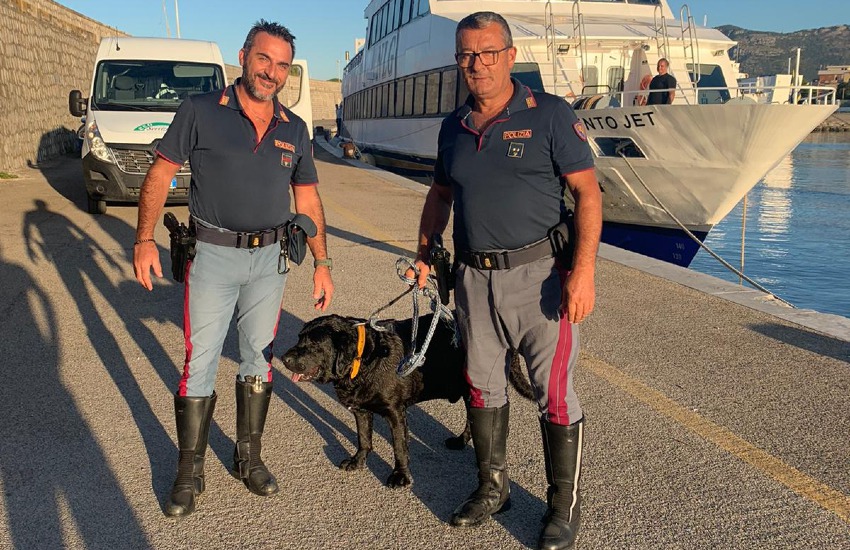 Terracina, la polizia salva un grosso cane alla Darsena Levante