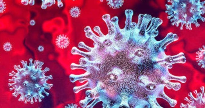 coronavirus a Latina