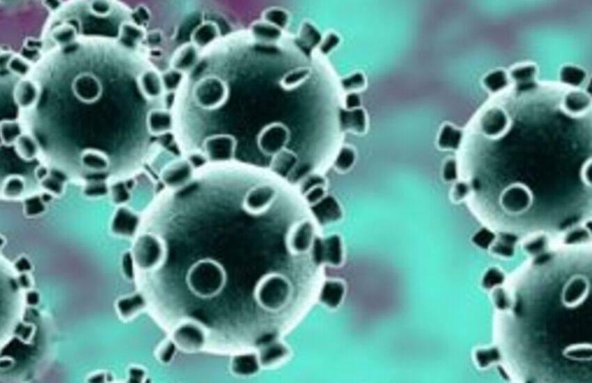 Coronavirus: ricoveri presso la palazzina delta sette