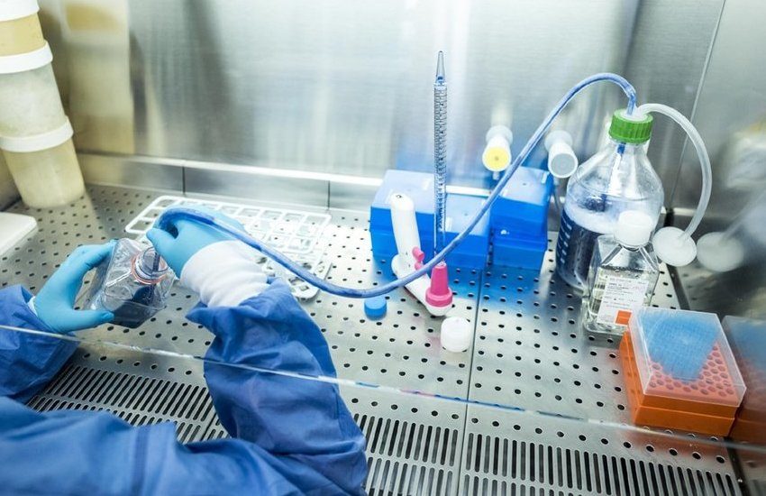 Fondazione Telethon finanzia uno studio dell’Università di Verona su una malattia rara