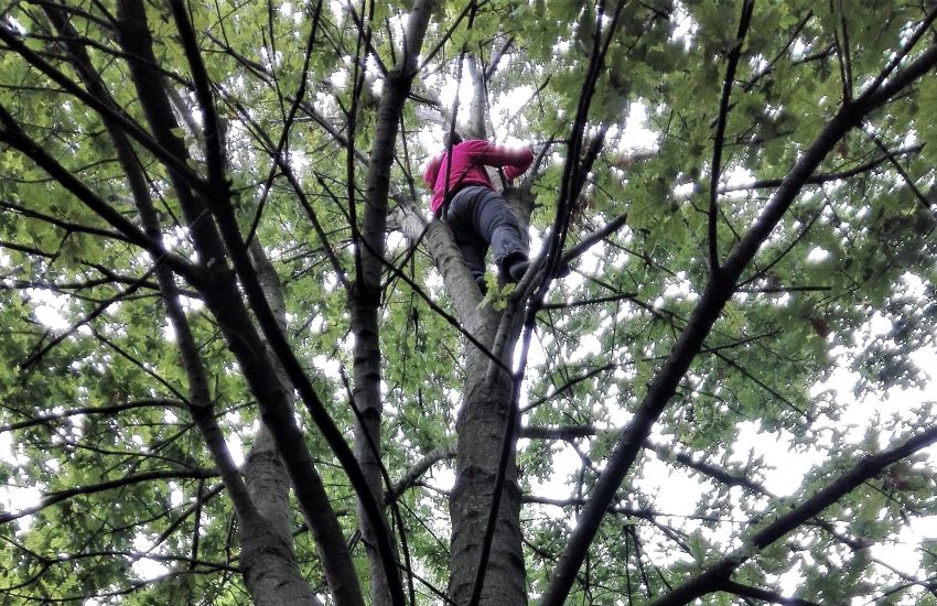 Maestri e alunni nel bosco, da Gais a Messina