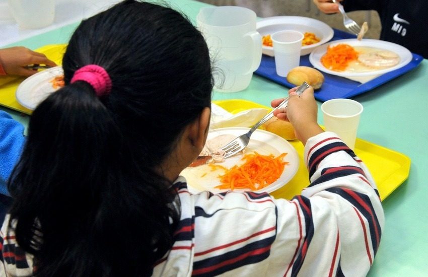 Torino, larve e insetti nella mensa della scuola: sotto accusa la King Mila