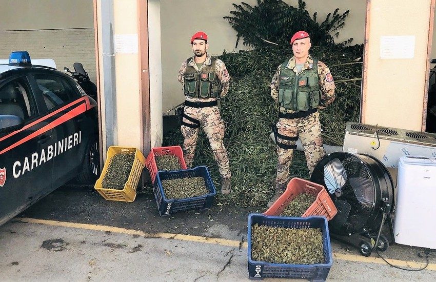 Paternò, operazione antidroga, 6 arresti Sequestrati 1.300 Kg di marijuana – Foto gallery