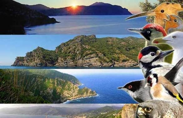 Portofino e Birdwatch