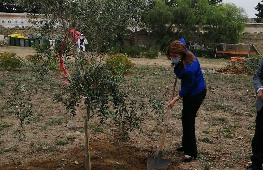 Caltagirone, Giornata della memoria e dell’accoglienza: momento di preghiera e piantumazione di un albero d’ulivo