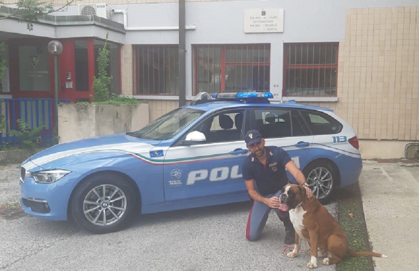 Abbandonano il cane in autostrada: la Polizia stradale li rintraccia immediatamente e scatta la denuncia