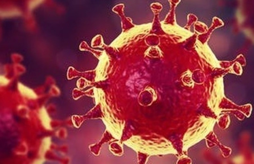 Coronavirus, variante inglese del virus: campioni inviati allo Spallanzani