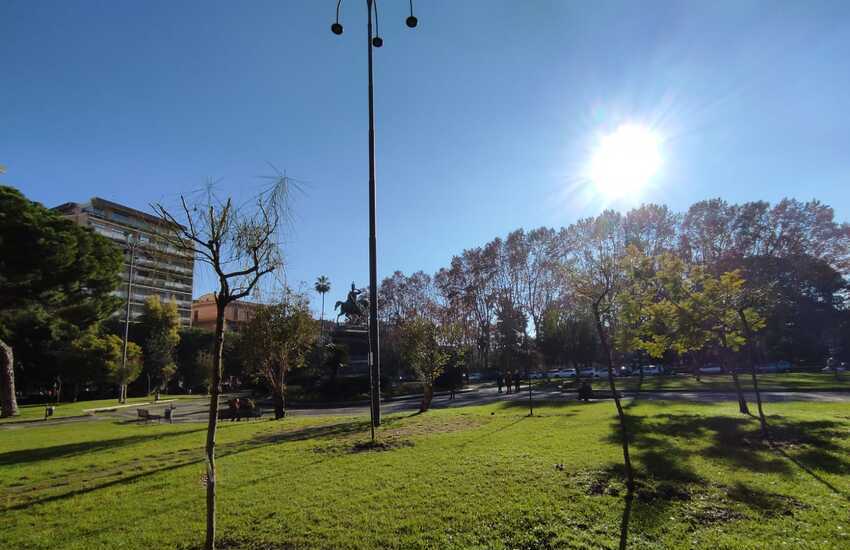 Catania, il Soroptimist rigenera piazza Roma con 25 nuovi alberi