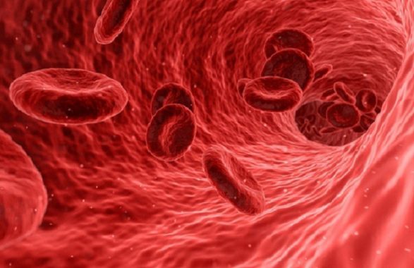 Donare il sangue: torna l'autoemoteca Avis in piazza del Plebiscito