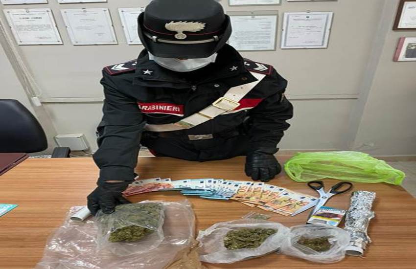 Arrestata coppia di spacciatori a Torre Annunziata grazie ad Holly, cane dal fiuto infallibile